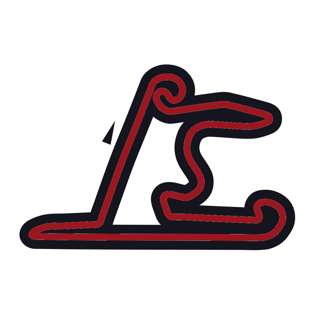 Chinese Grand Prix